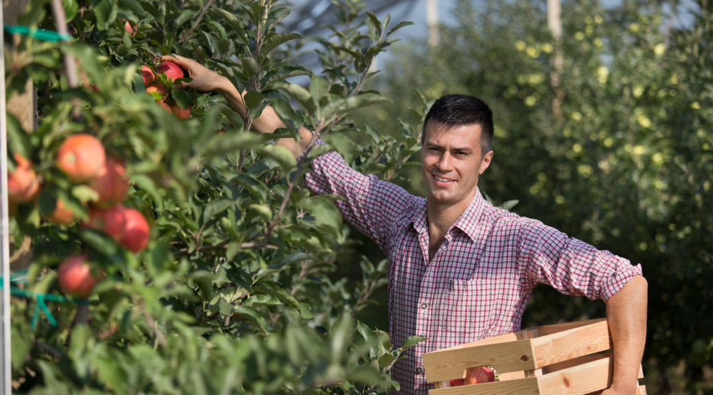 David Buck Apple